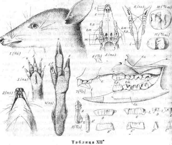 30.png (617856 Byte)