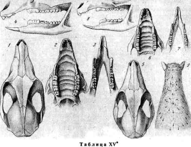 33.png (617856 Byte)