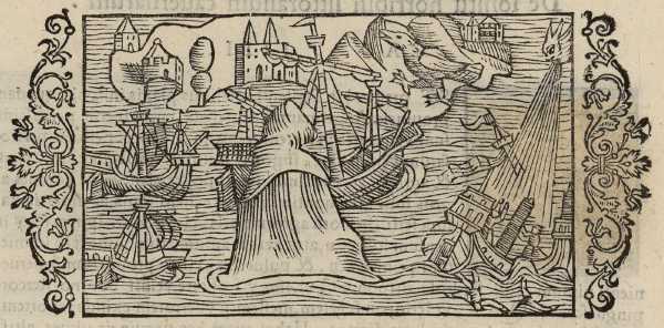 02_05.jpg (42815 Byte)