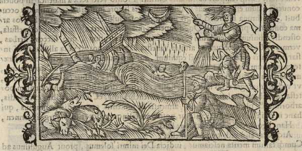 03_15.jpg (44267 Byte)