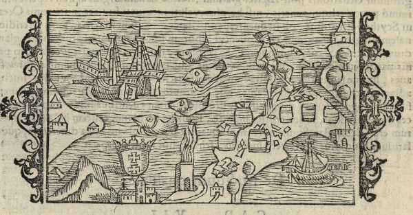 12_08.jpg (41955 Byte)