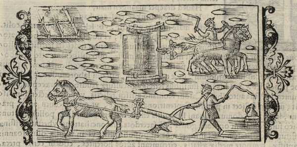 13_03.jpg (39408 Byte)