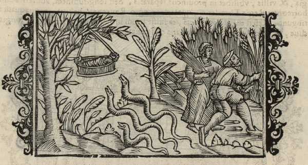 13_09.jpg (41967 Byte)