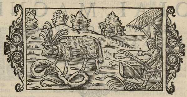 17_01.jpg (40096 Byte)