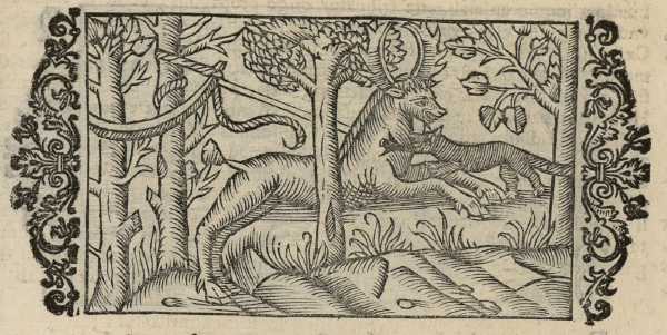 18_02.jpg (39502 Byte)