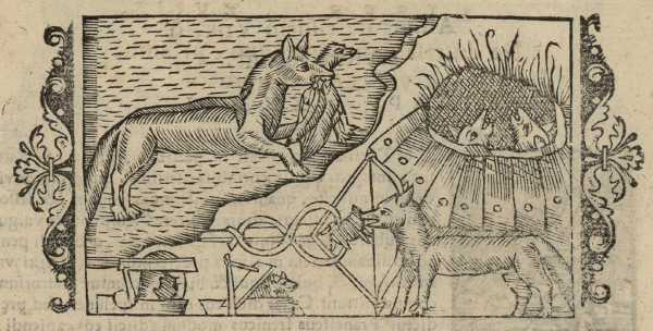 18_37.jpg (37065 Byte)