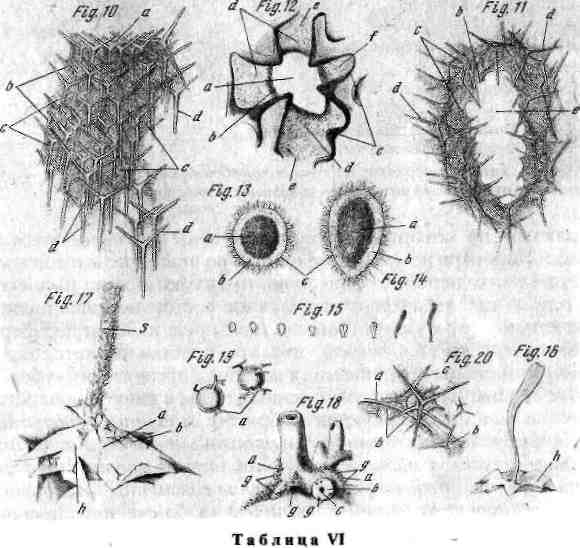 23.png (617856 Byte)