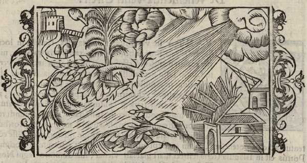 01_11.jpg (45204 Byte)