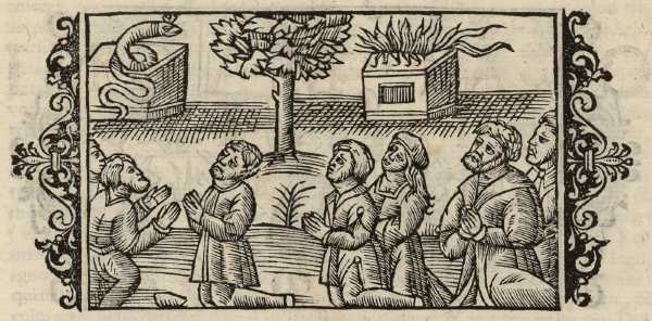 03_01.jpg (41625 Byte)