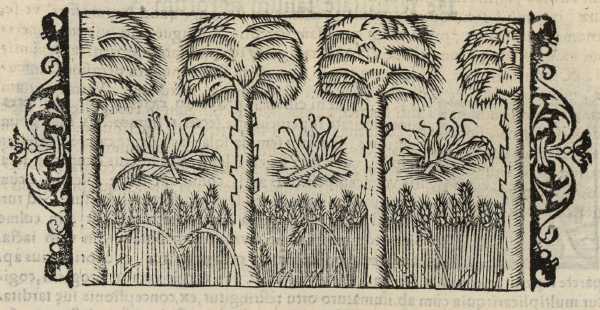 13_05.jpg (42053 Byte)