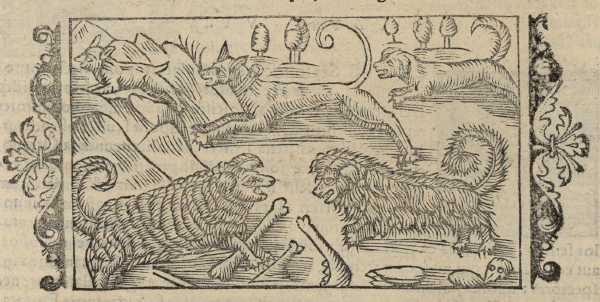 17_05.jpg (34750 Byte)