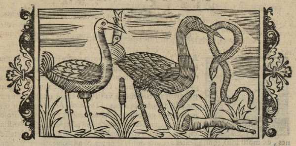 19_13.jpg (34846 Byte)