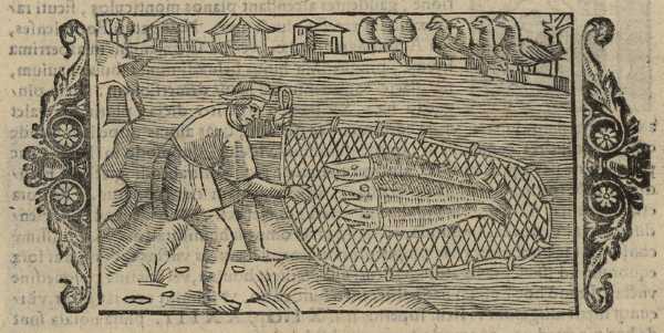 20_08.jpg (37818 Byte)