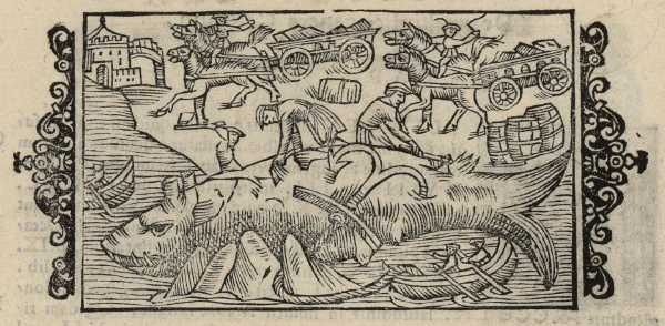 21_11.jpg (39014 Byte)