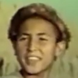 Topbak